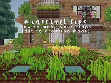 Replying to @urbae_khane #minecrafttips how to make your crops fast to grow! #4u #foryoupage #Minecraft 