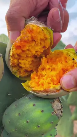 OMG 1 minute 🌵😱 !! Opuntia Ficus Indica  #asmr #fruit #fruits #fyp #fypシ