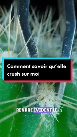 Voici comment savoir si une fille crush sur vous en utilisant la psychologie.  #crushsurtoi #crushsurmoi #moncrush #actuce  #psycologie #videosatusfaisante 