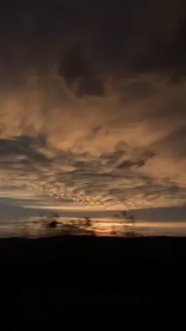 #iwanfals#viraltiktok #storywhatsapp #music #fypシ゚viral 