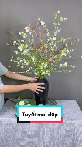 Tuyết mai mn ui. Đẹp lắm nha các chị #dyndecor #trangtrinhacua #tuyetmai #hoaluacaocap 