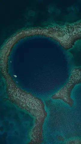 The Great Blue Hole 🇧🇿🐾  #puppyfoot #belize #travel #explore #adventure #drone #dji #fyp #viral #travelbelize #explorebelize #belizean #thegreatbluehole 