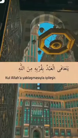 موسيقى دمان🎼🖤 .  #🥺💚 #طمأنينه  #قتباسات  #موسيقى_تركية  #موسيقى_هادئه  #fowllo  #foryou  #مسلسلات_تركية  #موسيقى_تركية  #الارض_الطيبة #💙🥺🦋 