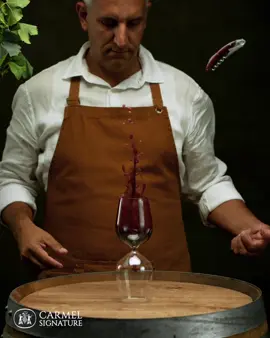 New ad 🍷made for carmel winery Israel Director: @benouaniche Dop: @karpick_avi Agency: @bbr_il