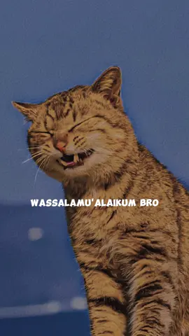 wassalamu'alaikum bro🙌 #overlay #liriklagu #kroncongprotol #rightnow 