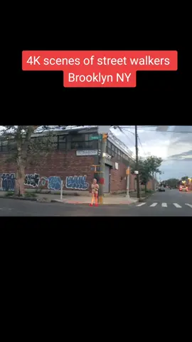 This video is to spread awareness and for entertainment purpose only participating in any viewed activities may get you and other hurt.#figuroastreet #streetwalkers #brooklyn #seattlewashington #lotlizards 