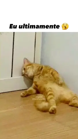 Não ria não que é sério 😵😴 #cansado #comsono #preguiça #gato #gatostiktok #sad #sadvibes #sadcat #bad #badvibes #motivação #meme #memetiktok #memesbrasil #memesbr #memes #memeengracado #memeviral #videoengracado #viraltiktok #videoviral #viralvideo #trend #trending #fyp #fipシ #fy #foryou #foryoupage #foryourpage #tentenãorir #sevocerir 