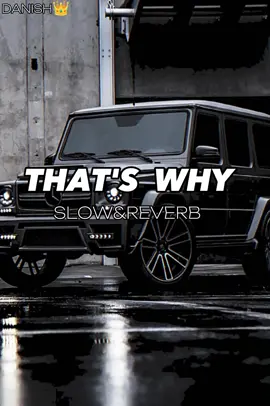 THAT'S WHY🔥😈 slow reverb #unfreezemyaccounplz🙏🙏 #100kviews #slow #500kviews #tiktok #foryoupage #100kviews #chdanish_07 #unfreezemyaccoun #viralvideo 