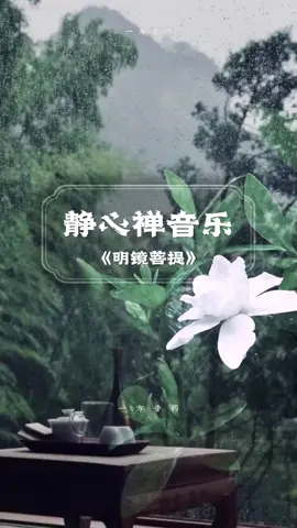 Ngẩng đầu nhìn trời Cuối mặt nhìn đất Đăm chiêu nhìn gương Thấy mình đã già 🧘🏼‍♀️ #nhacthientinhtam #guongsangbode #xuhuong 