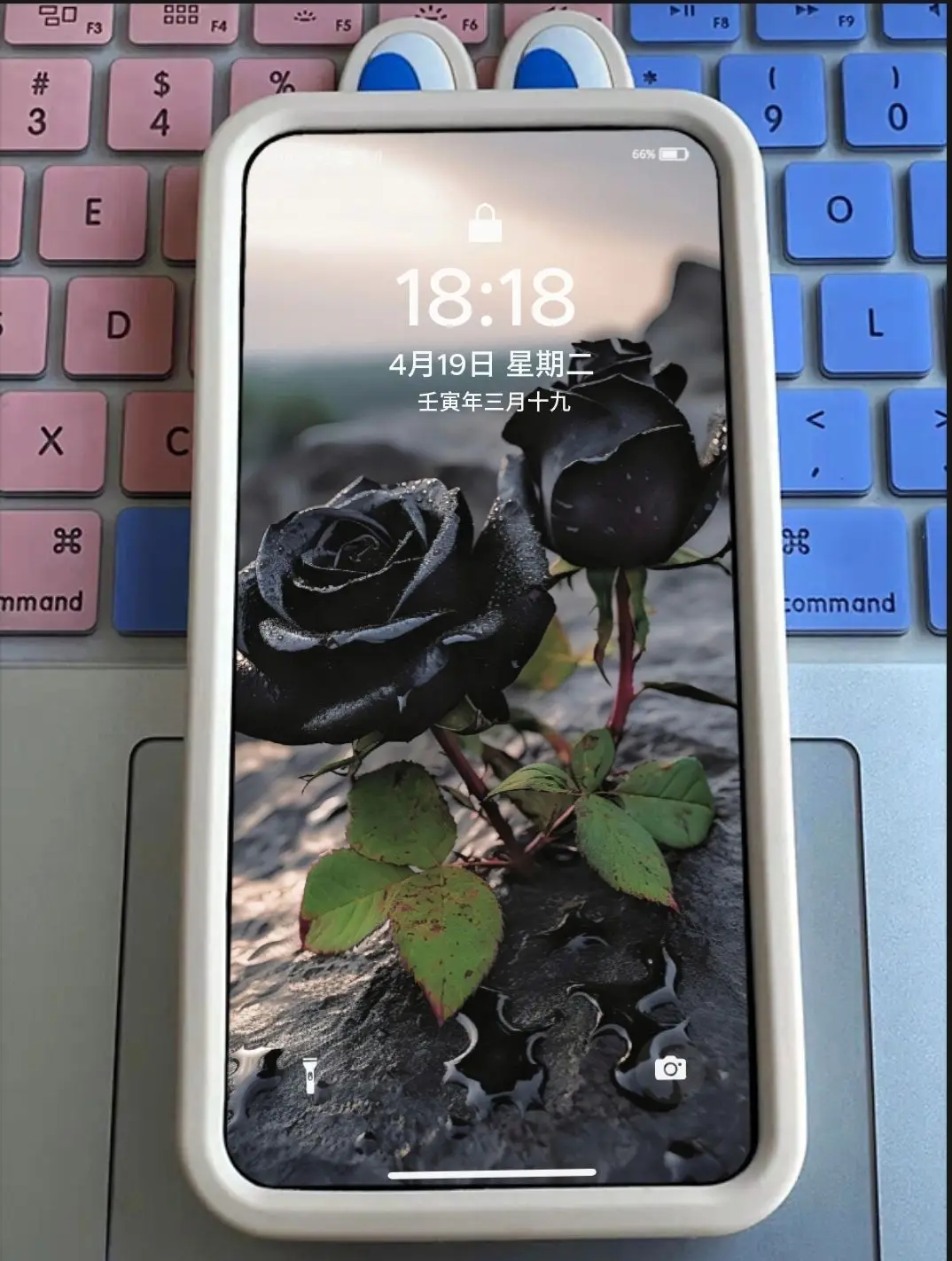 Hoa hồng đenn🖤🖤#hinhnendienthoai #xuhuong 