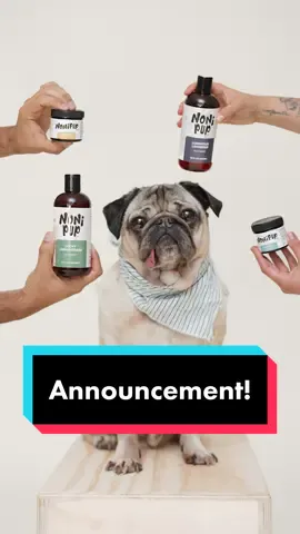 DOUG HAS AN ANNOUNCEMENT! Unleashing a dream 3 years in the making…Nonipup, our new holistic dog wellness company, is OUT NOW! Go to www.nonipup.com to explore 🐾 #petcare #dogsoftiktok #pug #dogmom 