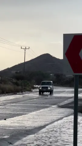 #علاج_تكاك #السلطان👌🏻 #اكسبلور #لايك #WondersComeTrue #الطايف #امطار #جنوب_الطائف #ربع22الصقر #اكسبللللللووووورررر 