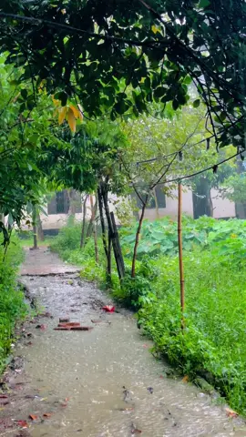 তৃতীয় ব্যক্তি গুলো খুবই লাকি হয়,আমাদের শখের মানুষকে বিনা পরিশ্রমে তারা পেয়ে যায়!🙂🥀 #foryou #foryoupage #fyp #bdtiktokofficial #tiktokofficial #vairal #tiktokviral #weather #tiktok 