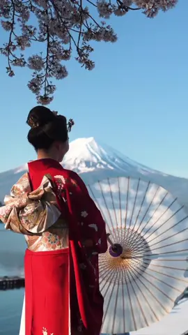 Mt. Fuji, sakura, tori, kimono, umbrella, and japanese hair is totally prettiest and percect combination 😍🥰! Location : 1. Kawaguchi Lake 2. Chureito Pagoda 3. Asama Shrine Credit : hakuchuu1882  #japan #japantravel #japantrip #explorejapan #discoverjapan #visitjapan #mtfuji #traveljapan #kawaguchiko 