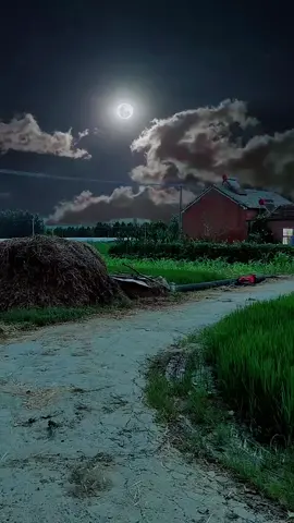 Night life in village ❤❤. #trending #shorts #reels #viraltiktok #villagelife #beautifulscenery #foryou #foryoupageofficiall 