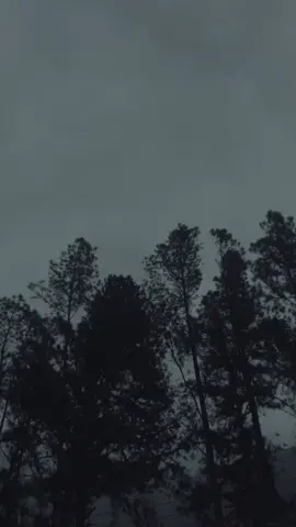 Wherever I go, I always get this scenario.     #calmingmusic #sadlofi #calmingsounds #lofiedits #aestheticvideos #aestheticedit #lofi #explorepage #darkaesthetic #relax 