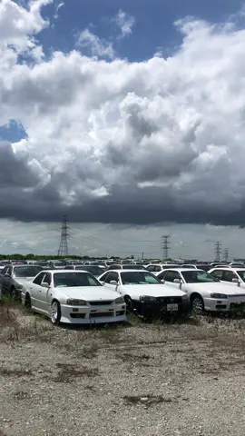Have you ever seen this many skylines?😳 #skyline #r34 #gtr #gtt #gtst #nissan #graveyard #import #toyota #supra #jdm #tokyo #carsoftiktok #cartok #fyp