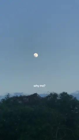 why me by zevia  #whymezevia #spotify #lyrics #lyricsvideo #whyme #zeviamusic #zevia #lyrics_songs 