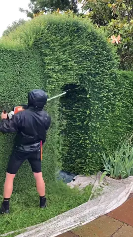 This is how you trim up some hedges!!! 🏡🌳✂️ 🎥 @gttrees_  #tree #hedges #howto #perfection #howtoinstagram #landscape #landscapedesign #hardworking #lanscapephotography #homeimprovement
