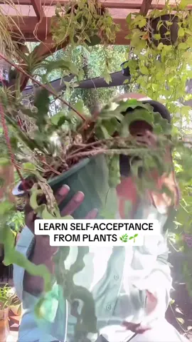 If you have a hard time with self-acceptance, I recommend my “Empowerment & Self-Esteem” class 🌿 I offer it through the How to Grow School (bio) 