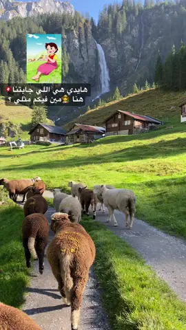 #سويسرا #طبيعة #هايدي  #سياحة #سفر #انترلاكن  #تصويري #ابداع #جمال  #طبيعه #سويسرا🇨🇭ترند #ينبع #اكسبلور #الرياض 