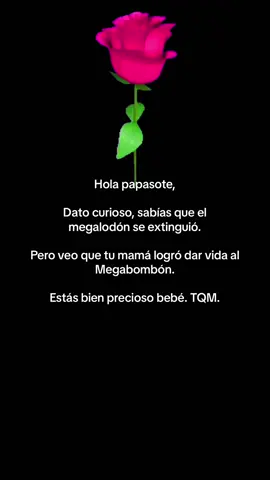 MegaBombón #parati #frasesbonitas #frasesparadedicar #frasesdeamor 