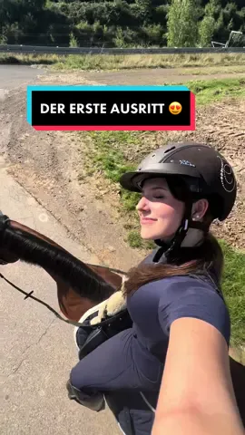 es war unfassbar schön, ich bin echt stolz, dass gini alles so brav & toll mitmacht 💘 #ausreiten #miaspferdewelt #erstesmal 