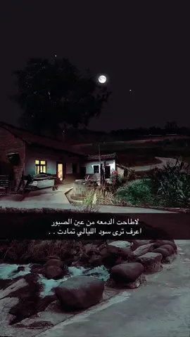 عباراتكم بنزلها ؟؟🔥🔥🔥 #CapCut #الشعب_الصيني_ماله_حل😂😂 #الرياض #حضرموت #اليمن #اكسبلور #السعودية #حلاوة_اللقاء #العمودي #دبي #امطاراليوم #العراق #جدة #رياكشن #الاجواء #أكثر_من_سناك #ببجي 