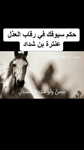٠حكم سيوفك في رقاب العذل | عنترة بن شداد