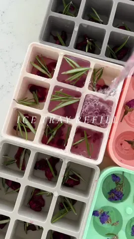 so many new fun ice molds today🤭💖 DO WE LOVE??? #asmr #asmrsounds #icetrayrefill #icedrawer #funice #icerestock #aesthetic #satisfyingsounds #satisfying #restock #Home #kitchenfinds 
