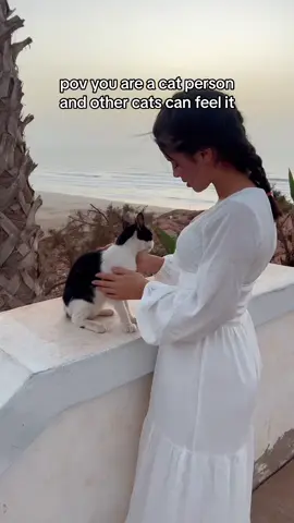 🇲🇦