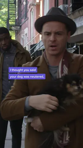 It doesn’t even make sense! #ModernLove #AndrewScott #BrandonKyleGoodman #MeghanRafferty #PrimeVideo #ModernLovePV #dog #pets 