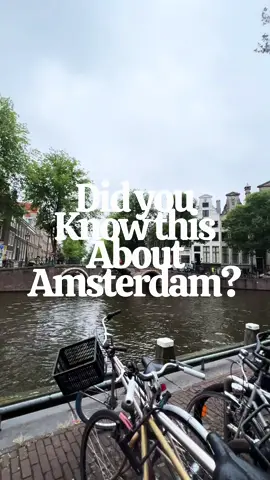 #amsterdamtravel #amsterdamguide #amsterdamtraveltips #amsterdamcoffeeshop #amsterdamcafe 