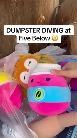 Replying to @Cran employees threw away a bag of Squishmallows 😳 #dumpster #dumpsterdiving #oops #viral #glamourddive 