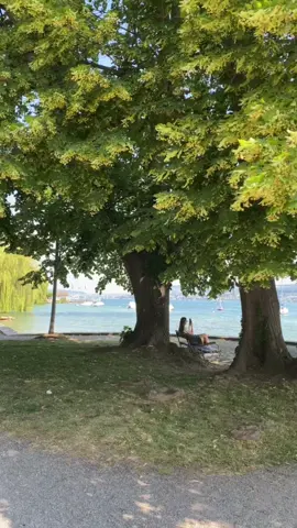 يا اغلى ماعندي من اللي يساويك 🎶 #زيورخ #سويسرا #سياحة_سفر #fyp #viralvideo #ترند_السعودية #zürich #switzerland #بدون_موسيقى 