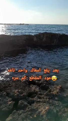 الشعب الصيني ماله حال 🤣 ليبيا  ،،الاجبل، ،الأخضر 