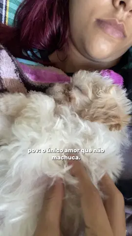 #CapCut minha princesa nina ❤️🐶 