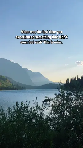 📍Glacier National Park 📍 #glaciernationalpark #glacierwildlife #wildlifephotography #wildlifeoftiktok #moosetok #mountainwildlife #mountainlake #mountains #mountaingirl #nationalparkgeek #hikerlife❤⛰ 