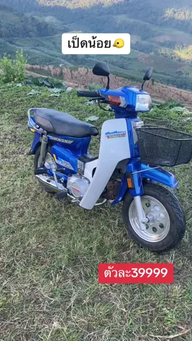 #เป็ดน้อย🐥 ตัวละ39999 #สนใจสั่งทําได้นะคับ #ส่งได้ทั่วไทยครับ #ดรีมร้อยmini 