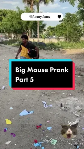 mouse prompt..😁 #prank #pranks #london #cambridge #fybシ #fun #troll #laugh #fail #funny #funnyvideos #usa #funnyy 