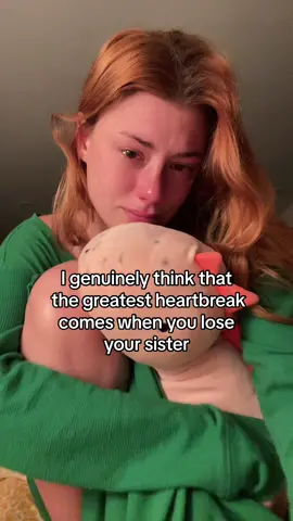 why has this past week felt like it all just happened yesterday? weirdly been the most difficult few days. also thats mascara stains not mold on my dino lol #grief #griefjourney #loss #sister 