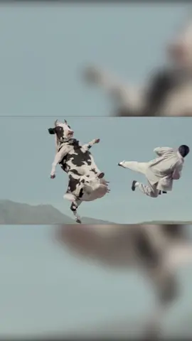 Cow Fight #movie #movieclips #moviescene #funnyvideos #funnymoments