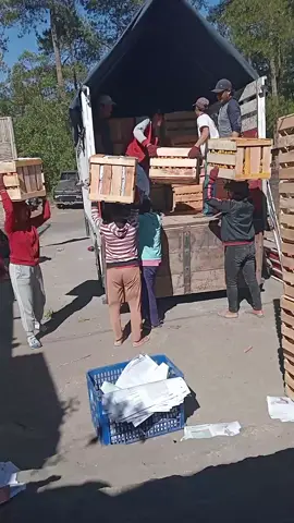 jam nya ada apinya jare#balinesia🇮🇩 #bloramustika #TikTokImpact 