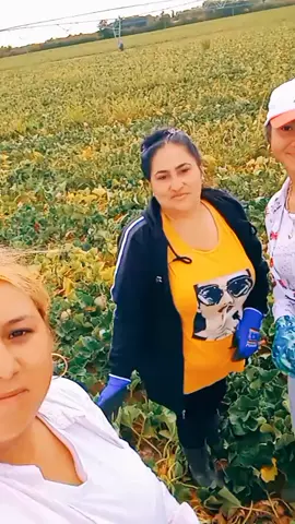 завиждат но не виждат  😅🥰😍😍@vesi.beni07 @cveti.pazarova96