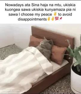 #fypシ゚viral #foryoupage❤️❤️ #funnymemesdaily @FunnyMemes @kenyanmemescreator1 @MEMES LORD KENYA @kenyan memes2 @KENYANMEMES254