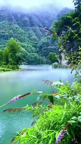 #صباح_الخير #اكسبلور #اكسبلورexplore #قصيد #تيك_توك_السعودية #ترند #fyp #foryou 