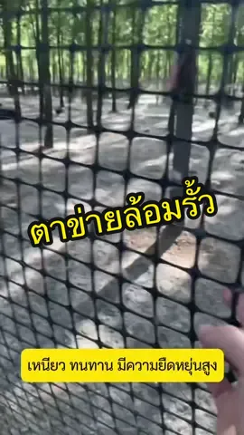 ตาข่ายกันนก ตาข่ายกรงไก่ ตาข่ายล้อมไก่ #ครีเอเตอร์tiktok #ตาข่ายล้อม #ตาข่ายล้อมไก่ #ตาข่ายล้อมรั้ว #ตาข่ายพลาสติก #ตาข่ายพลาสติกร้อมรั้ว 