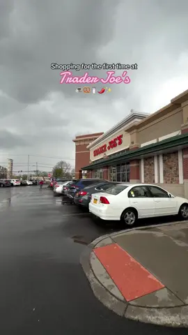 Shopping at Trader Joe’s for the first time 🫶 This was in April so some things might not be available anymore 🥲 #traderjoes #buffalony #groceryshopwithme 