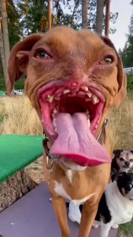 ebeew #ebeww #slebeww 