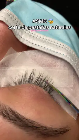¿Alguna vez te han cortado o te haz cortado tus pestañas naturales? Sientan la misma agonia que yo al escuchar este ASMR 😭 #pestañas #lashes #cilios #lashista #pestañaslargas #pestañasnaturales #lashartist #lashextensions #asmr #asmrvideo #lashistaprofesional 